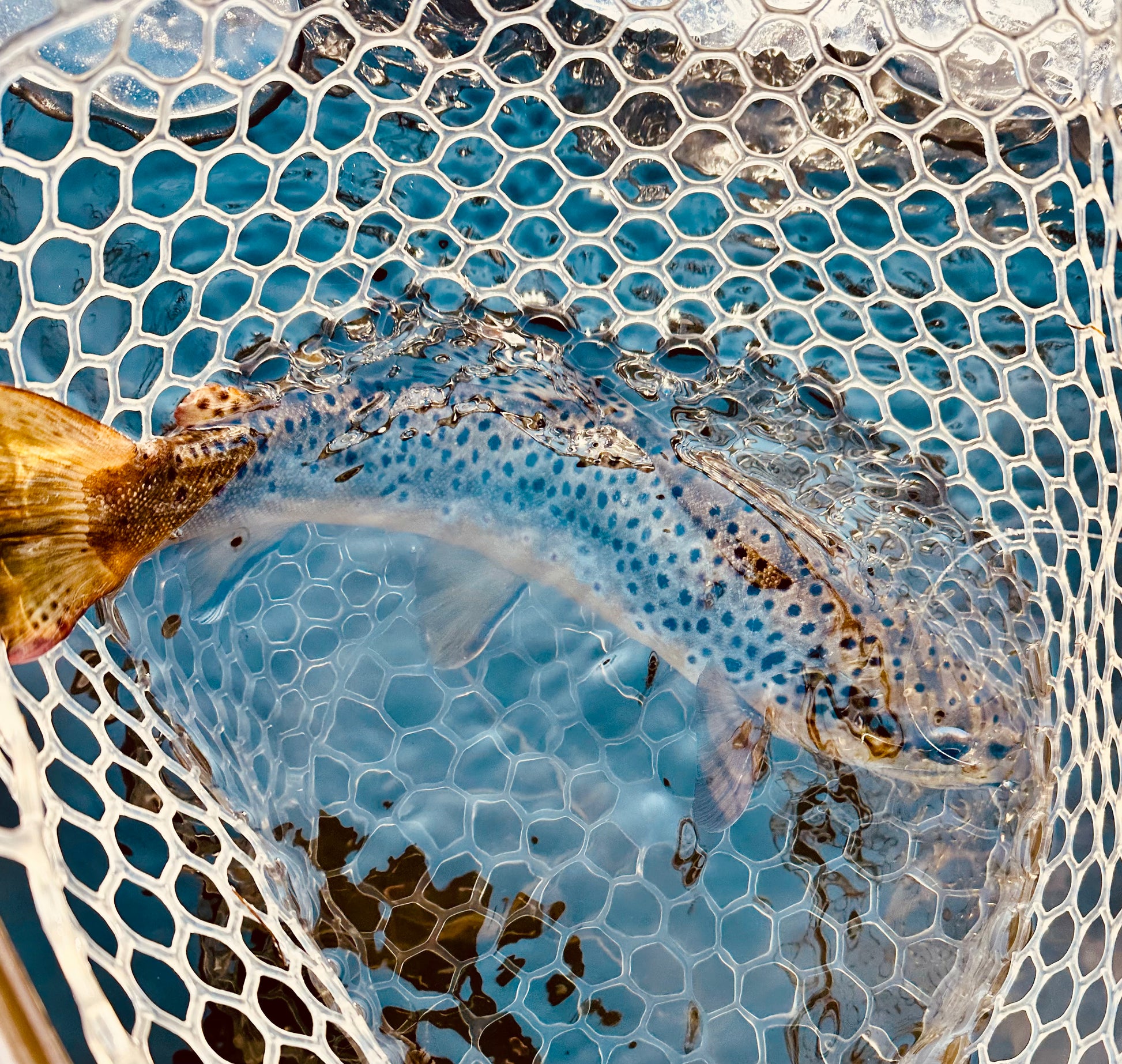 Mini Slumpbuster Jig Streamer