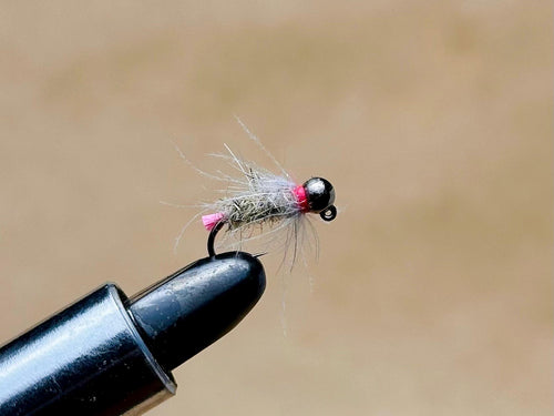 Blowtorch Nymph